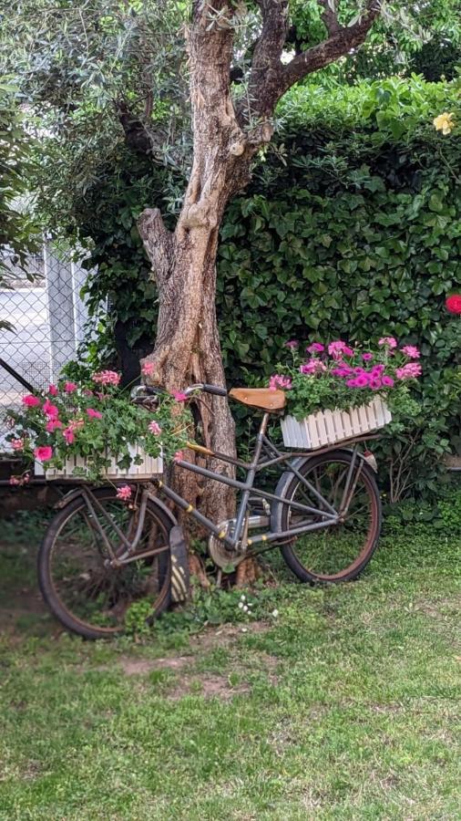 Bed & Breakfast Agli Aceri Verona Eksteriør bilde